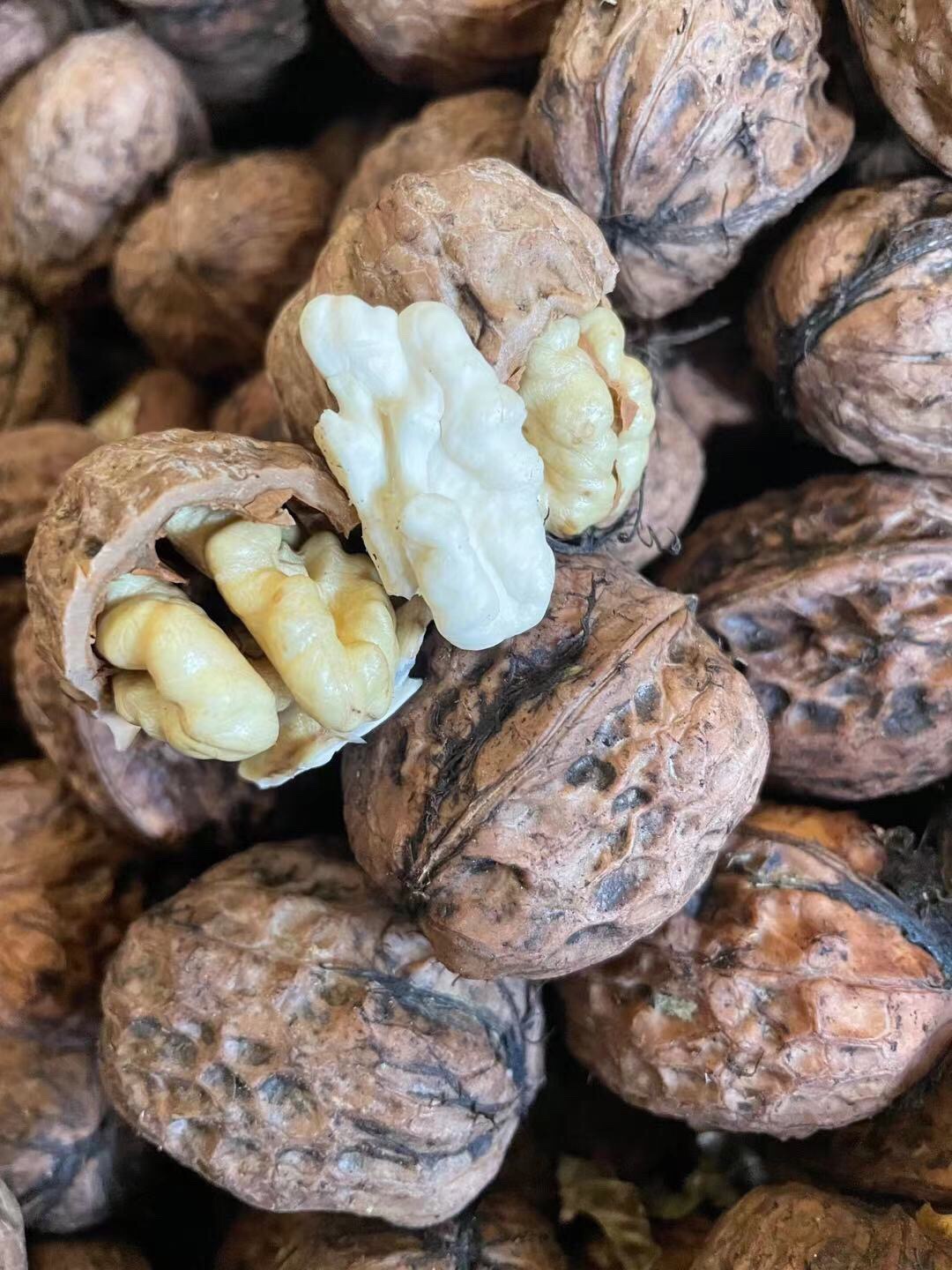 新鲜去皮湿核桃3斤5斤核桃一件代发