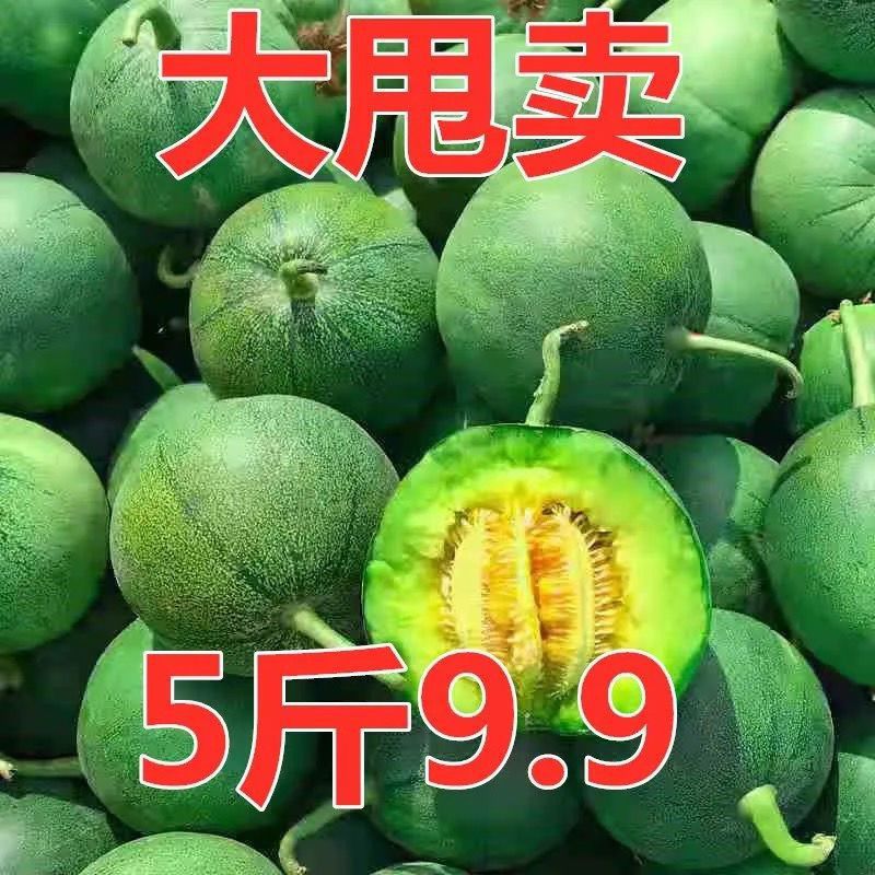 【爆甜】头茬应季绿宝石甜瓜东北脆宝新鲜水果脆瓜现摘包邮批发