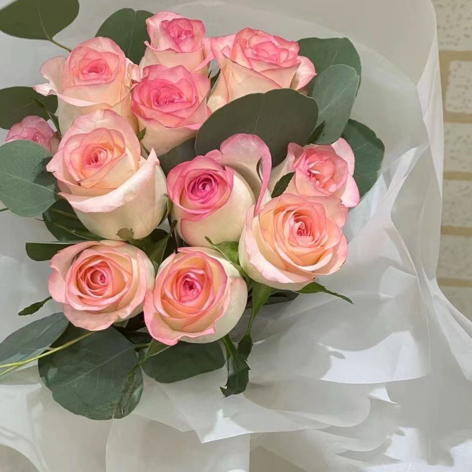 玫瑰花云南鲜切花基地直发水养玫瑰花室内客厅办公室插花批发花束