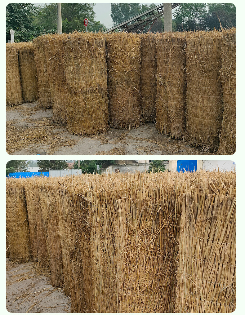 加工定 制温室稻草帘子 绿化盖草坪草苫子 山东大棚保温干稻草