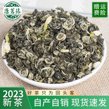 2023年横县茉莉花茶 浓香花草茶 茉莉曲螺 茉莉绿茶 花茶散装批发