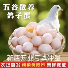 新鲜鸽子蛋正宗白鸽蛋土鸽蛋沂蒙山农家五谷杂粮喂养孕妇宝宝营养