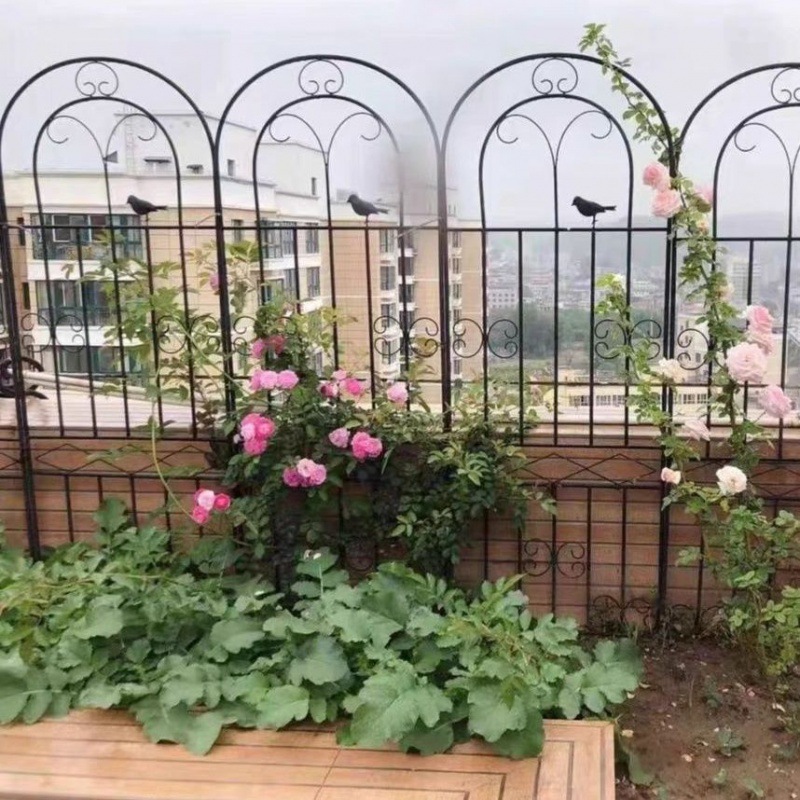 爬藤架藤本月季铁艺花园植物蔷薇花爬藤网网牵引攀爬杆代发直销