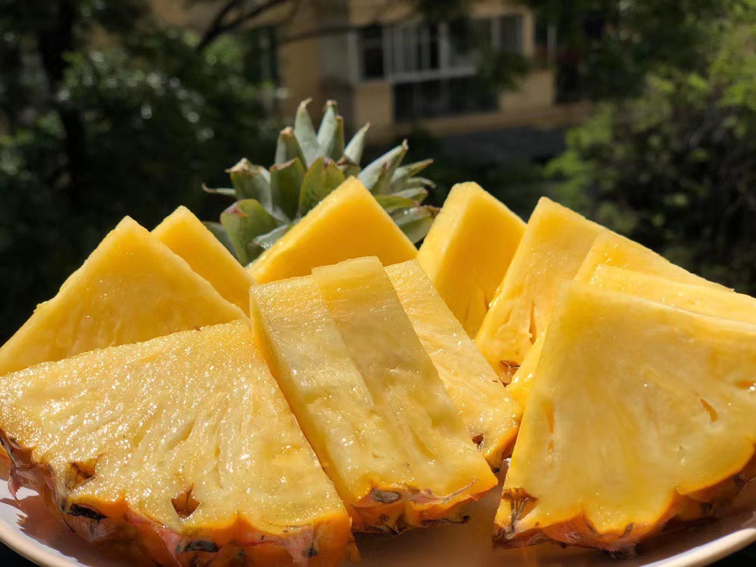 海南小菠萝-海南小菠萝厂家,品牌,图片,热帖-阿里巴巴