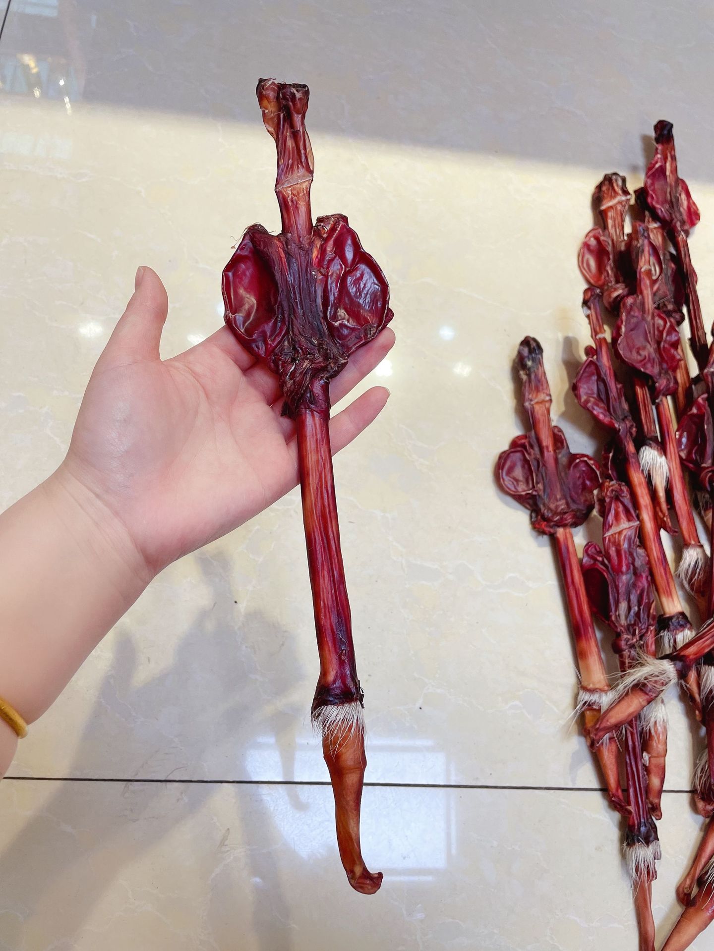 厂家批发牛鞭 男性泡酒料整支整根足干牦牛鞭35g 单支包邮