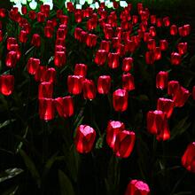 地插串灯圣诞灯饰发光麦穗灯玫瑰花灯led灯条景观灯彩灯户外灯串