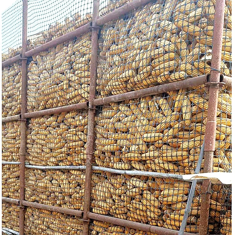 黑色加厚方格塑料网土工格栅养殖网圈玉米网晾晒网隔离防逃围栏网