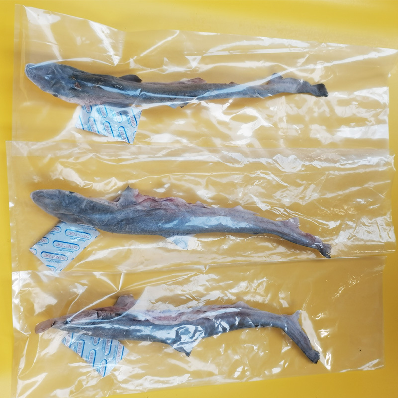 冻干小鲨鱼肉干鲨鱼软骨猫零食狗磨牙棒鲨鱼皮整支批发宠物店拿货