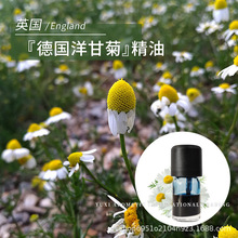 英国原产德国洋甘菊精油1ml蒸馏萃取蓝甘菊油芳香德甘单方精油