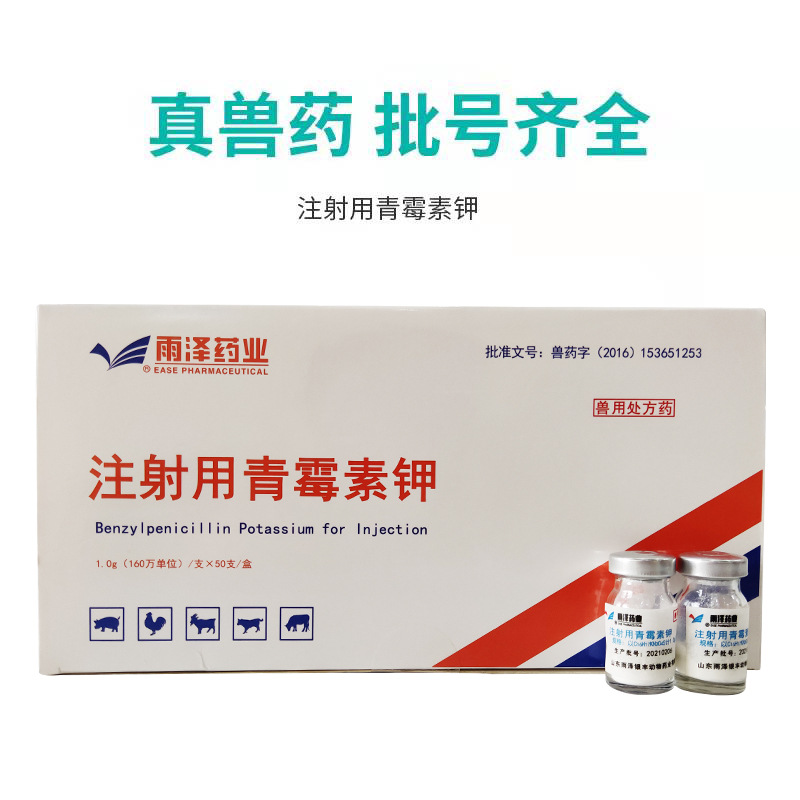 兽用注射用青霉素钾160万单位猪牛羊宠物狗猫抗炎消炎药50瓶 批发