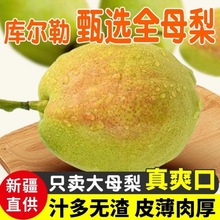 梨新疆库尔勒香梨母梨子薄皮新鲜当季水果厂家批发一件批发亚马逊