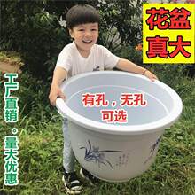 大型花卉绿植睡莲盆栽白色特大号塑料花盆无孔有孔果树盆圆形加厚