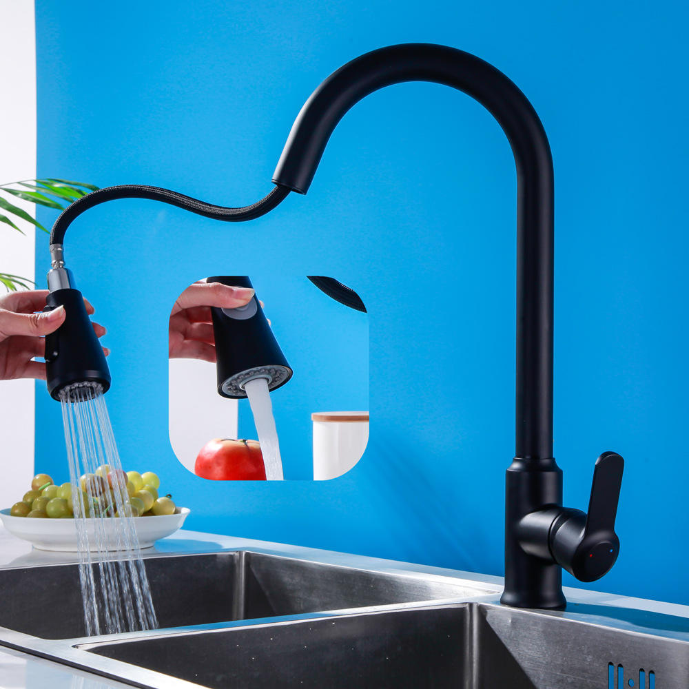 黄铜厨房抽拉式龙头水龙头全铜双出水冷热洗菜盆水槽伸缩水龙头