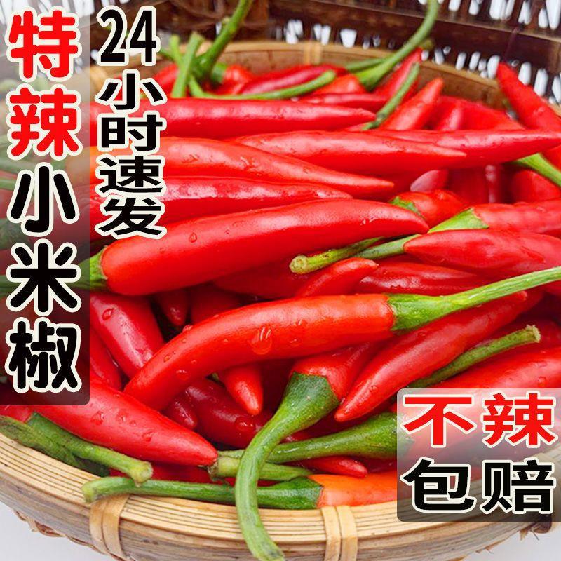 小米椒红辣椒新鲜现摘特辣小米辣椒朝天椒农家土蔬菜鲜叶菜类