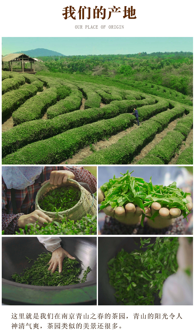 南京雨花茶2021雨前新茶绿茶250克半斤毛尖毛峰茶叶