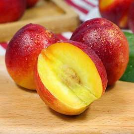 燕红桃礼盒装丹东河口艳红桃12个桃10斤水蜜桃甜桃-报价-阿里巴巴