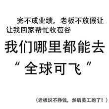 国际快递国内到新西兰澳大利亚包裹邮寄海外集运海运物流货代专线