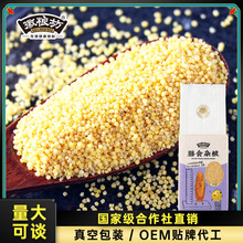 黄小米新米 香糯小米粥养胃五谷杂粮月子米 小黄米山西小米批发