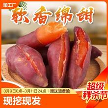 西瓜红蜜薯新鲜红薯红心番薯板栗薯沙地种植软糯香甜烤地瓜5/9斤