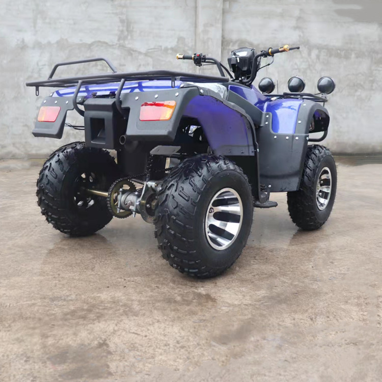 龙鼎大型沙滩车 四轮越野摩托车 四驱250cc水冷全地形atv山地车