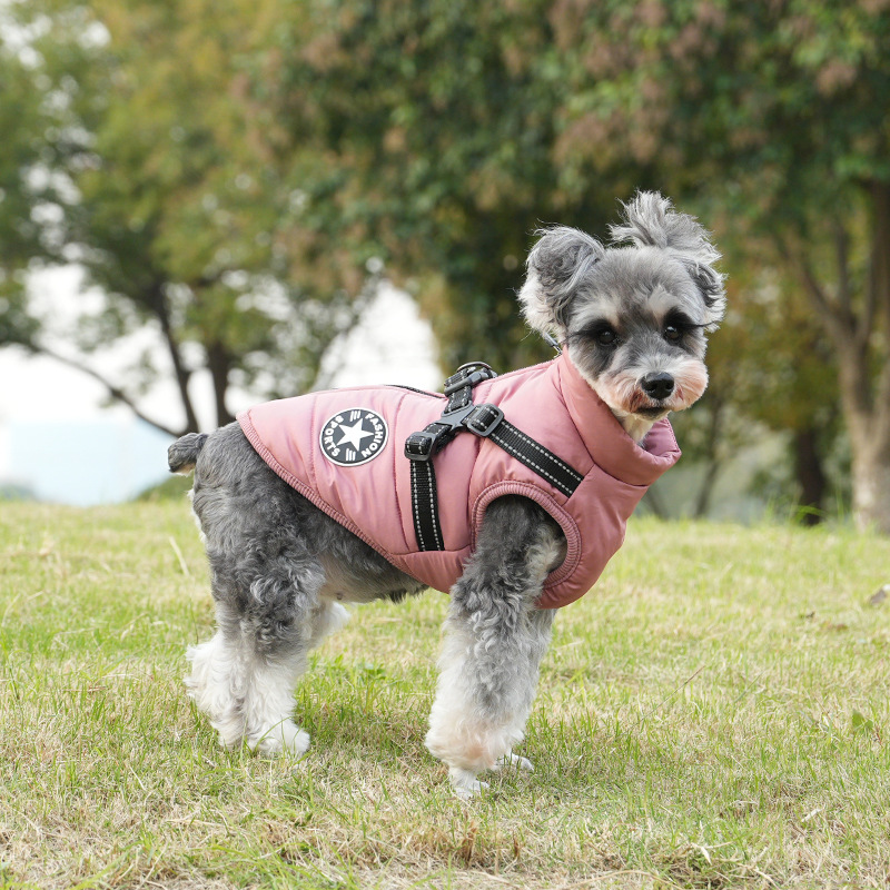 New Cross-Border Pet Clothes Dog Two-Leg Vest Traction Chest Back Waterproof Cotton-Padded Clothes Winter Warm Clothing Supplies