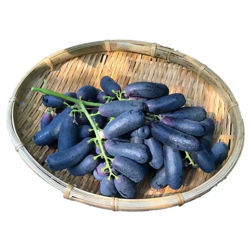 澳洲金手指黑提美人指葡萄黑手指拇指无籽提子2斤可包邮