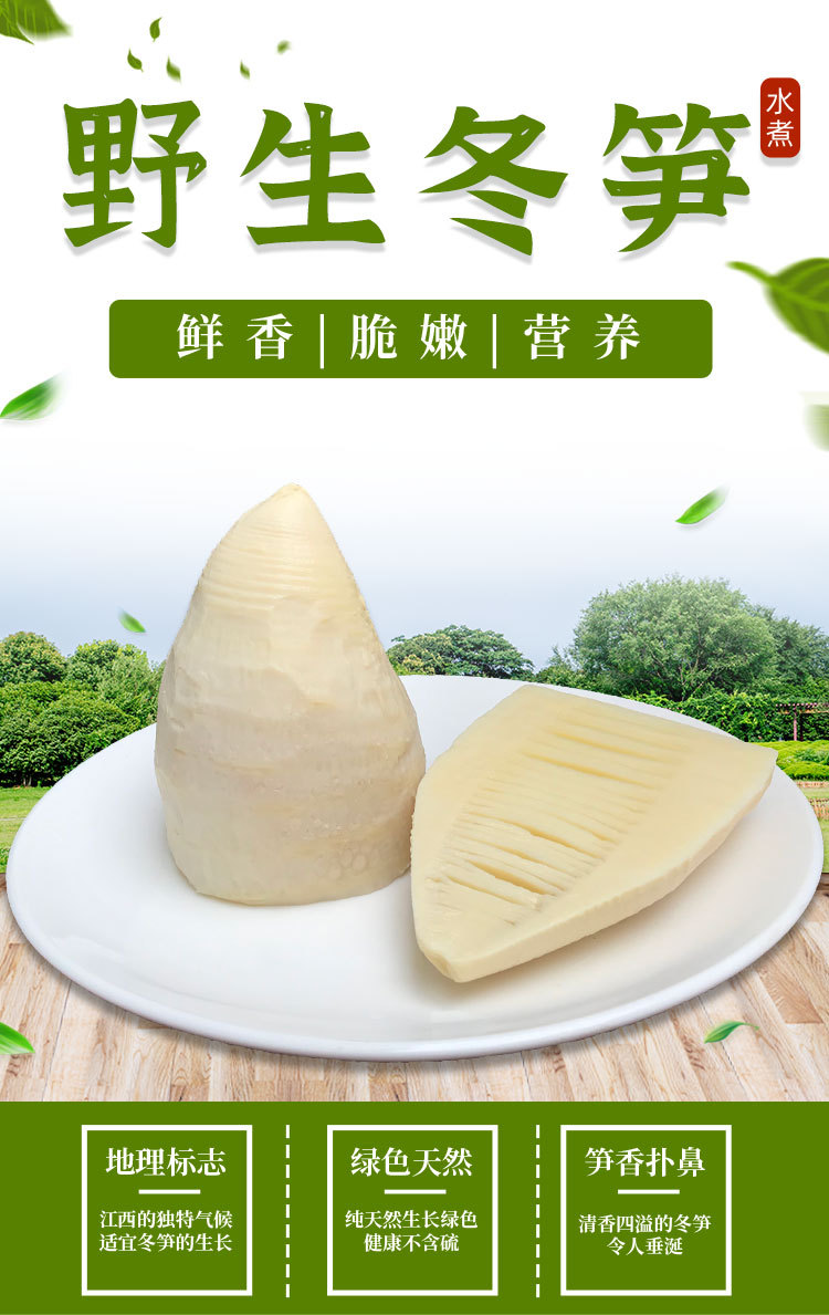 工厂直供水煮大竹笋500g真空袋装新鲜竹笋春笋餐饮食材脆嫩鲜冬笋