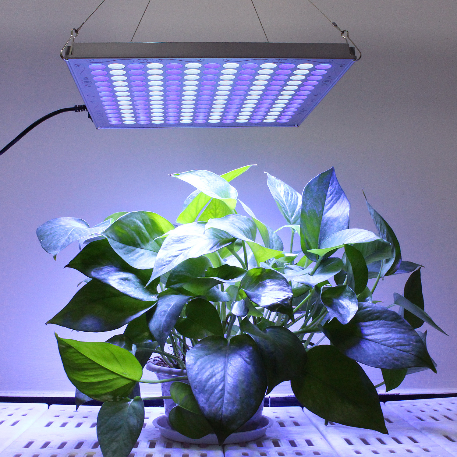 35w大棚植物生长补光灯蓝白配比面板灯室内led植物生长灯厂家