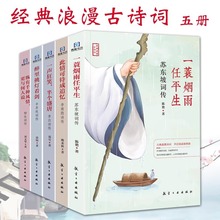 经典浪漫古诗词系列共5册苏东坡词传经典浪漫古诗一蓑烟雨任平生