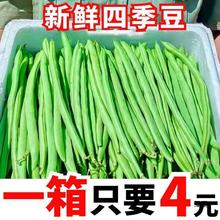 【价】四季豆新鲜现摘无筋豆刀豆芸豆应季时令新鲜蔬菜豆角整箱