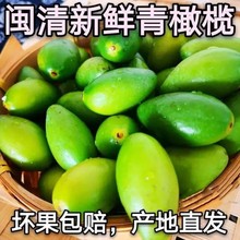 新鲜闽清青橄榄孕妇橄榄生吃橄榄回甘煲炖汤青果潮汕水果现摘现发