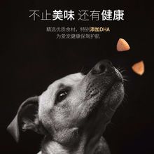 #狗粮通用型5斤1斤牛肉味犬粮泰迪拉布拉多比熊柯基金毛萨摩成犬