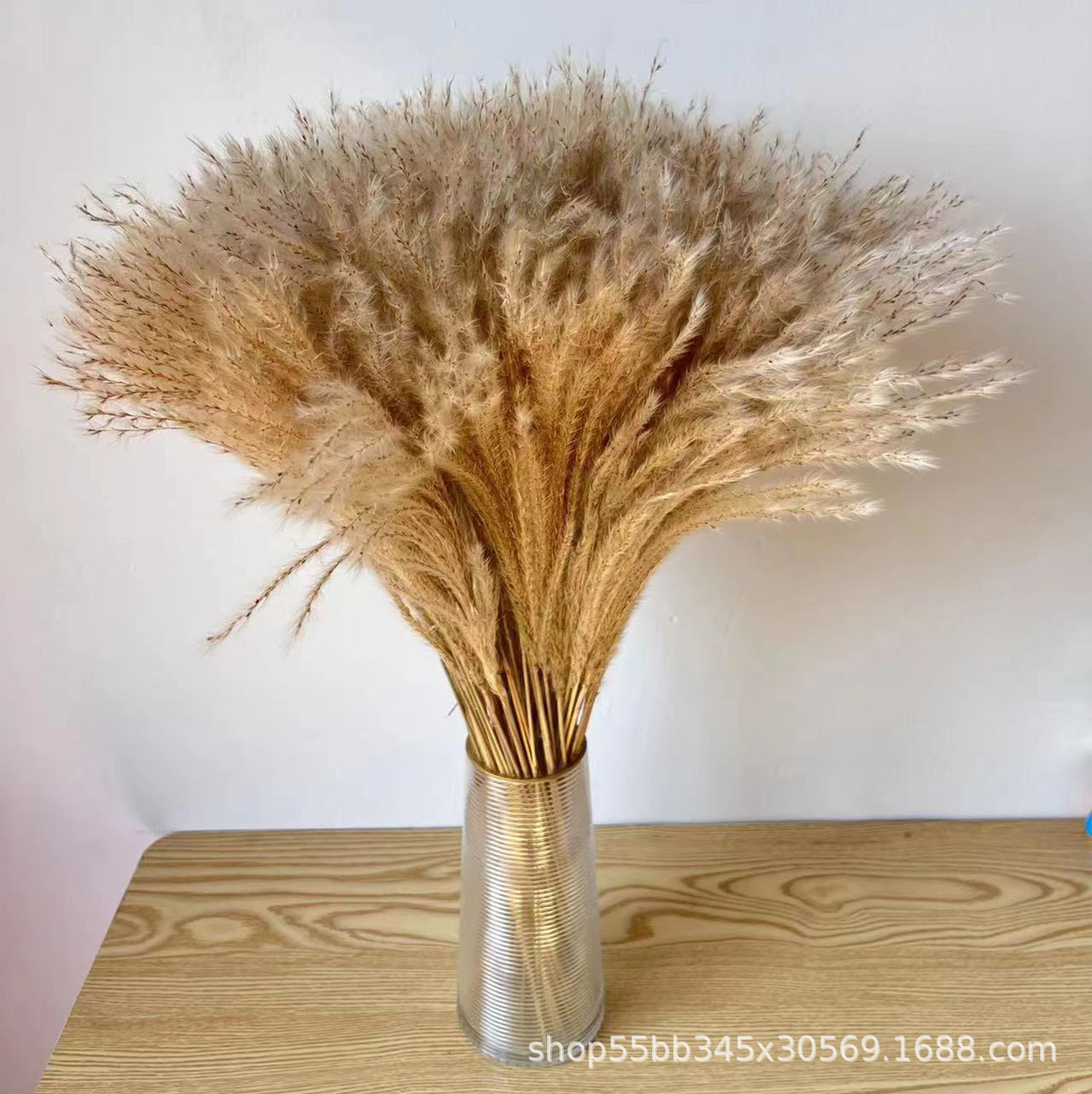 拂尘干花小芦苇批发拂尘芦苇 干花花束婚庆装饰粉色芦苇干花芦苇