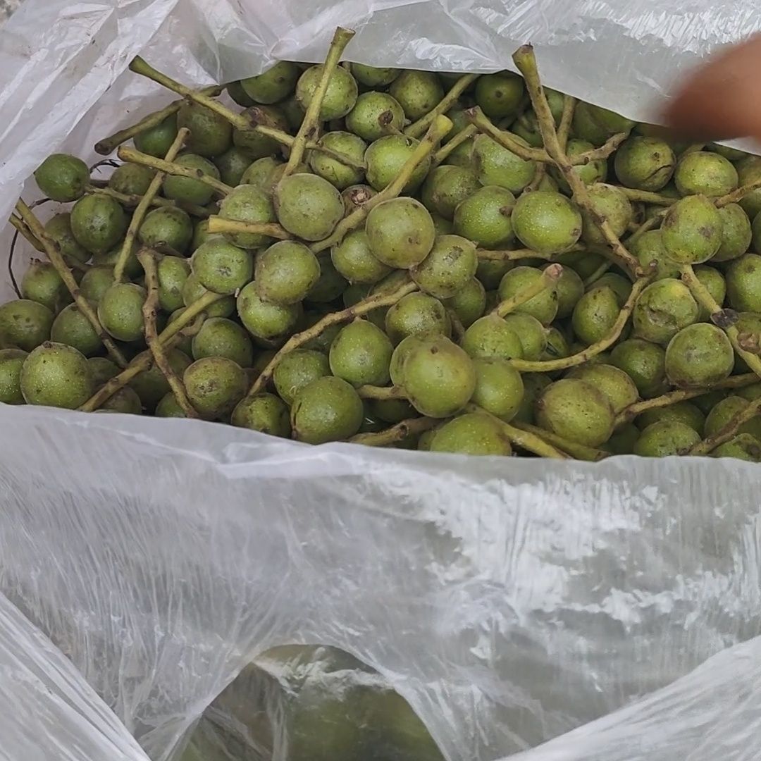 野生小秋子核桃散籽产地直发门头沟京八棱矮桩正圆磨盘手串手持