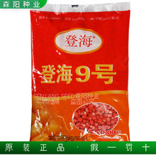 先玉335玉米种子登海先锋第高产一名原装正品安徽陕西河南山东北