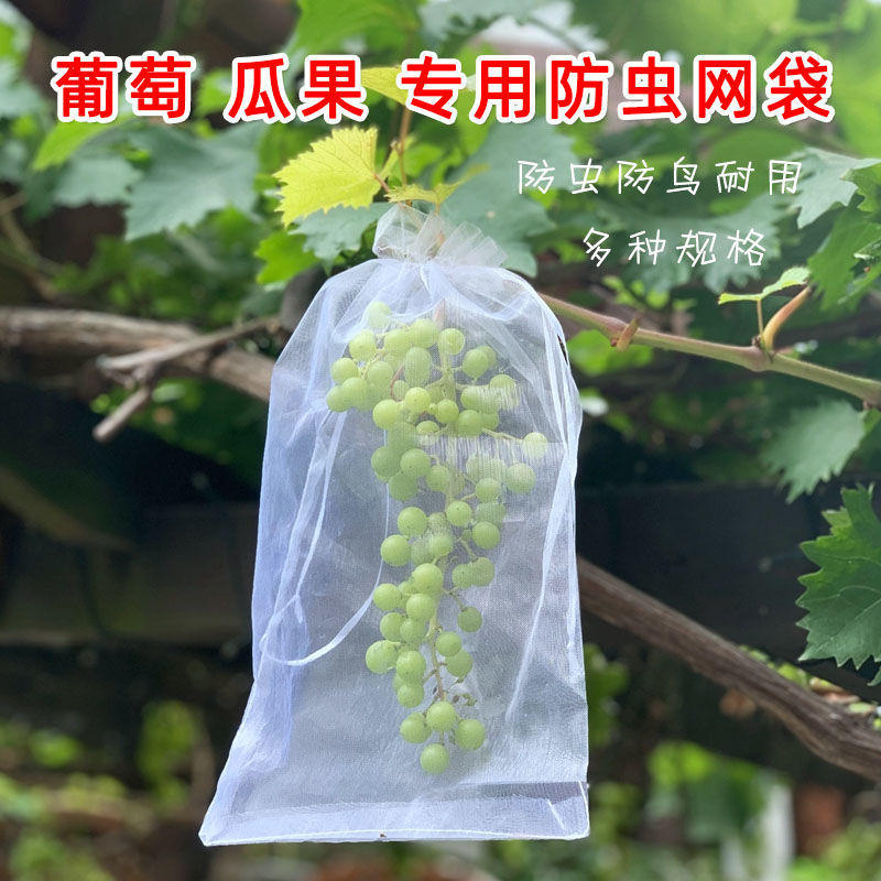 葡萄套袋专用袋子防虫防鸟防水果袋育果袋纸袋防病害保护网袋纱网