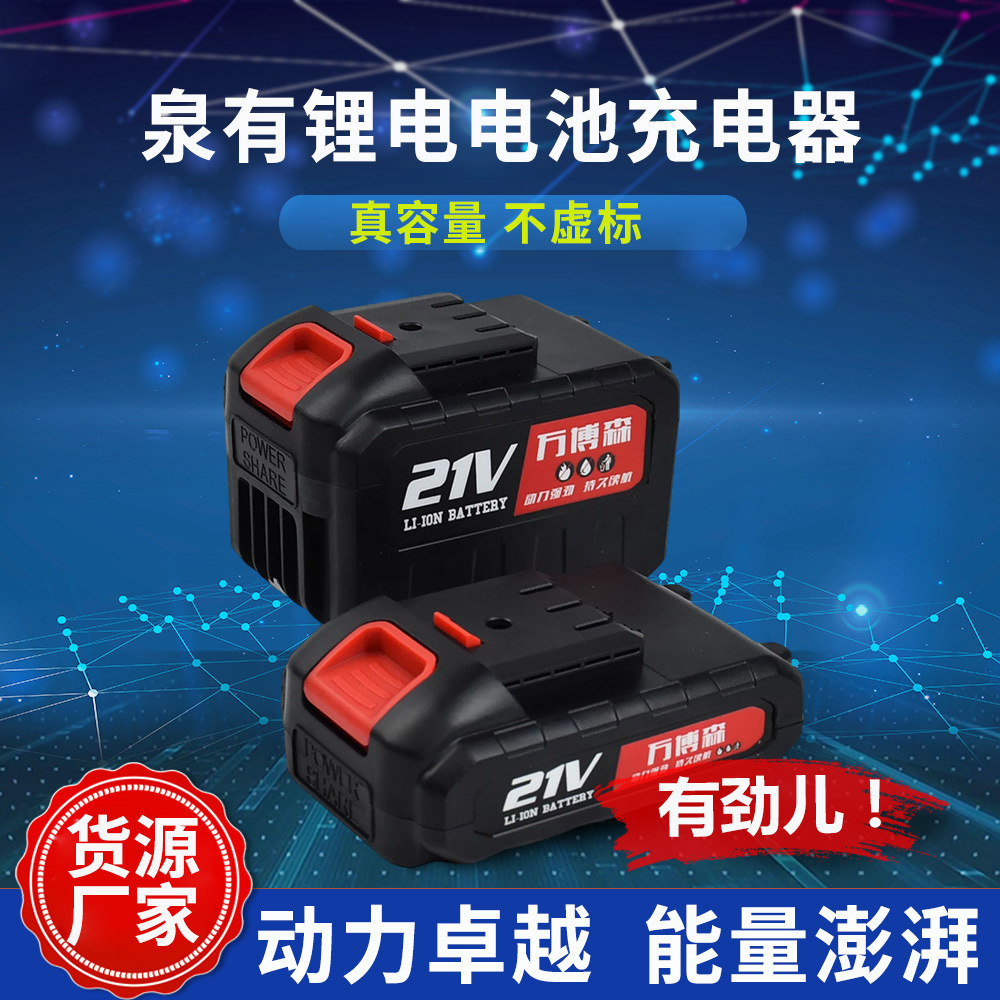 泉有锂电电池充电器 厂家直供电池充电器 多节电池锂电电池充电器