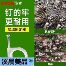 花枝固定器月季花墙墙上花卉绿植爬墙神器室外铁皮石斛墙扣卡扣钉