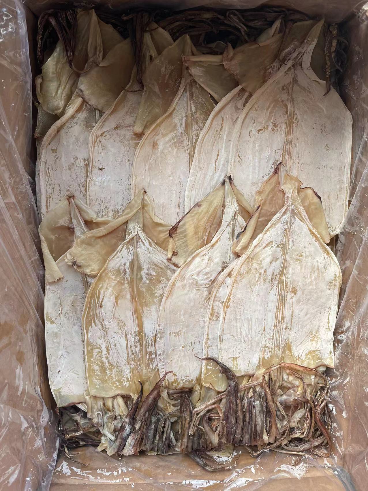 全淡阿根廷鱿鱼去皮20斤/件-阿里巴巴