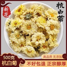 菊花茶杭白菊500g花桐乡特级正宗杭菊杭州贡菊胎菊正品官方旗舰店