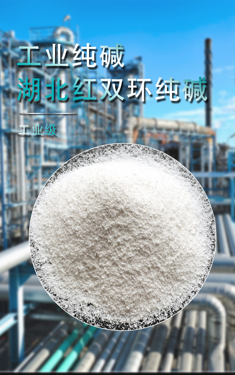 厂家现货99%国标工业级纯碱 水处理洗涤除污轻质碳酸纳双环牌纯碱