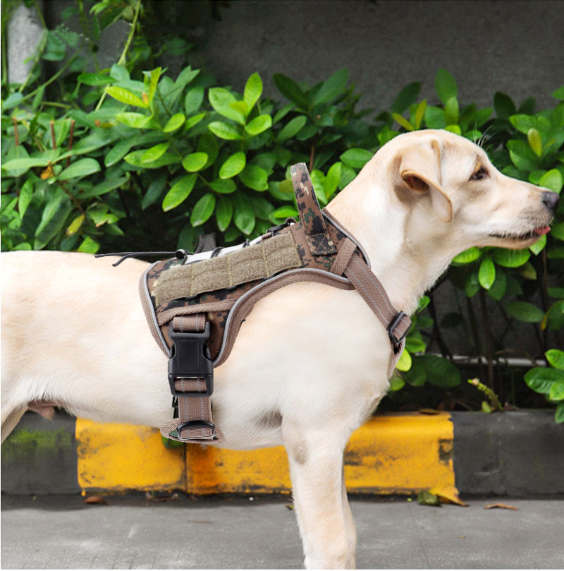 宠物胸背带二狗衣服背心式狗狗牵引绳透气狗绳子用品厂亚马逊跨境