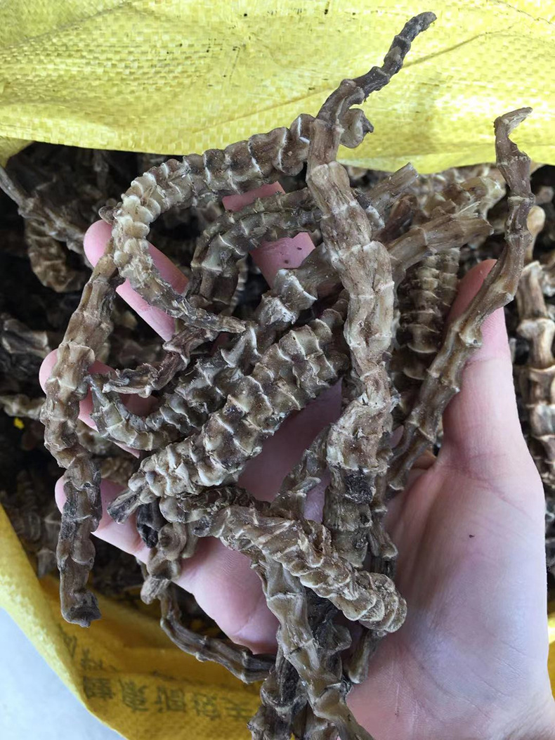 虫草参 白虫草 江湖地摊展销会云南地参大条粗条散装 地参虫草参