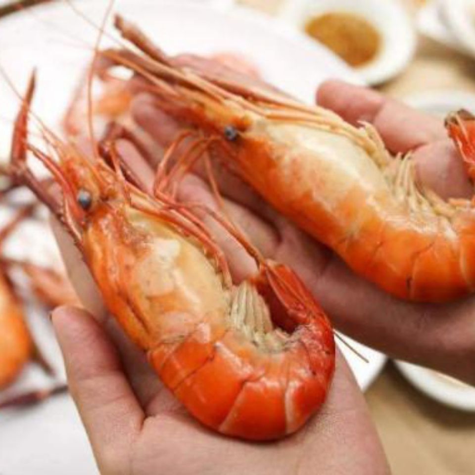 大河虾罗氏虾大头虾10头1斤鲜虾活虾速冻罗氏虾火锅海鲜批发