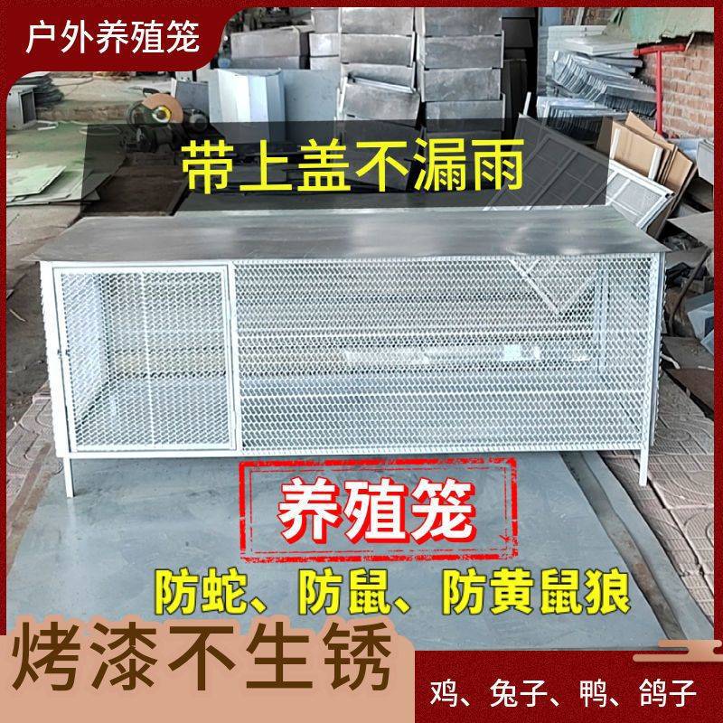 加密防鼠鸡笼子家用鸡鸭鹅养殖笼加大加厚鸡笼户外防黄鼠狼防生锈