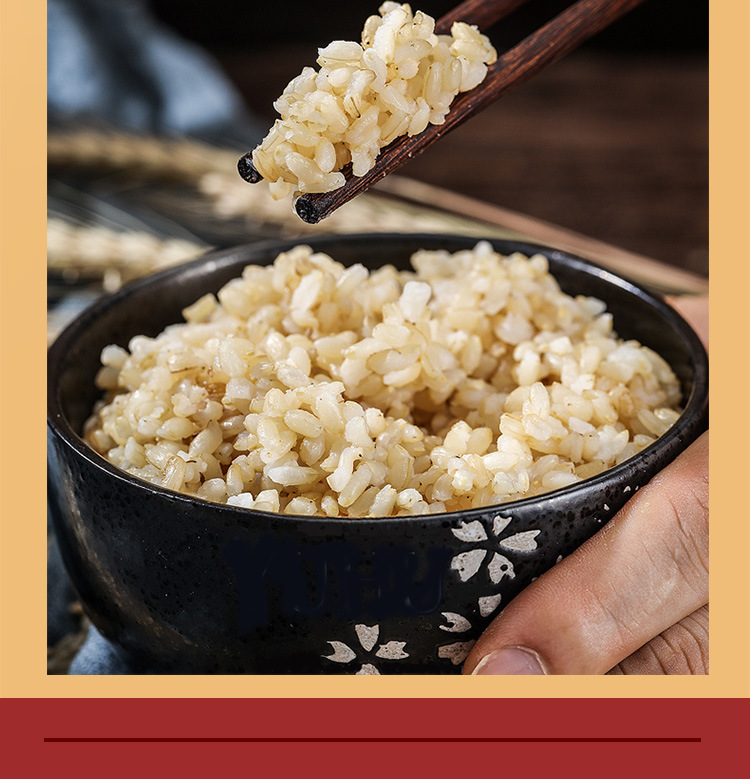 和粮农业 溢田 有机糙米 五谷杂粮精选糙米熬粥精选厂家直销批发