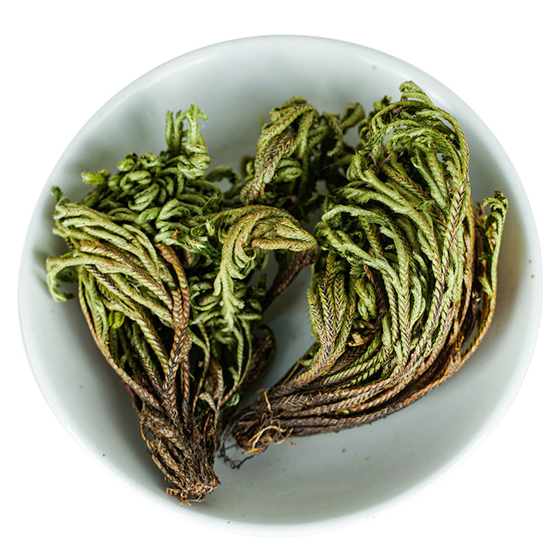 卷柏中药材500克卷柏九死还魂草 石柏岩柏草卷柏野生不死草-阿里巴巴