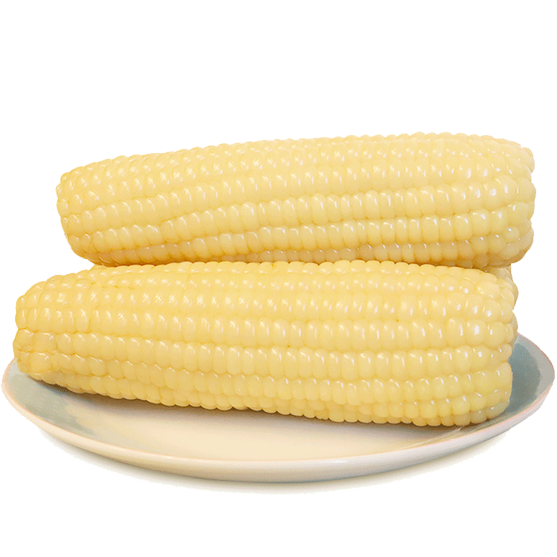 10棒包邮新货东北新鲜速冻白糯玉米黑龙江粘玉米年苞米白玉米