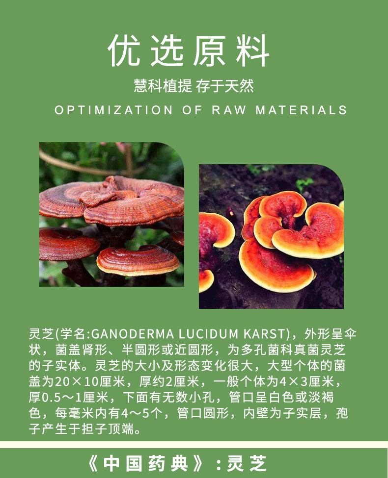 灵芝孢子油20%-30% 不饱和脂肪酸,总三萜 免费包邮