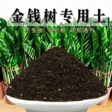 金钱树土酸性土壤种植土通用透气营养土盆栽土花泥土有机肥料